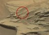 Spoon Curiosity.jpg