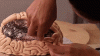 Brain assembly.gif