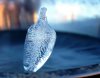 Ice spike.jpg Ice spike.jpg
