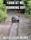 running off with your meme.jpg