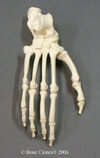 product-2011-main-original-1415046449.jpg
